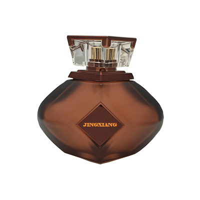 100 ml Customized Translucent Glass Perfume Bottles